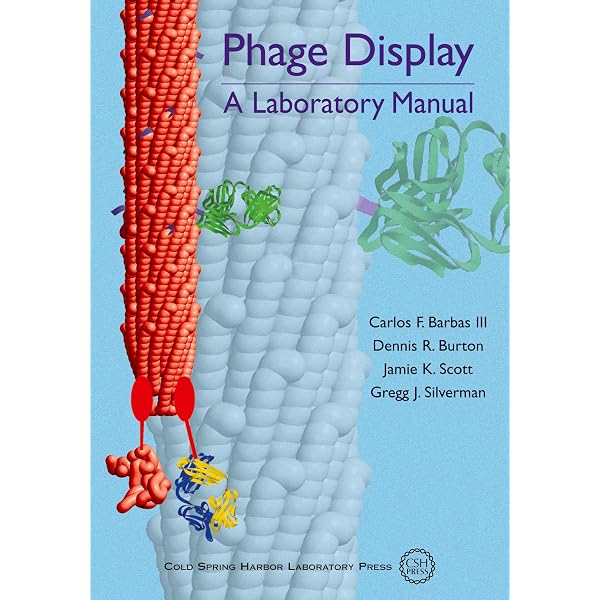 語学・辞書・学習参考書 Phage Display A Laboratory Manual Amazon.com: Advances in Phage Display: A Laboratory Manual